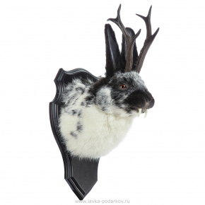 Чучело настенное "Черно-белый кролик с рогами", фотография 0. Интернет-магазин ЛАВКА ПОДАРКОВ