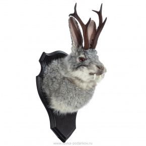 Чучело настенное "Серый кролик с рогами", фотография 0. Интернет-магазин ЛАВКА ПОДАРКОВ
