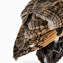 Настенное чучело птицы "Сова ушастая", фотография 4. Интернет-магазин ЛАВКА ПОДАРКОВ