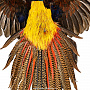 Настенное чучело птицы "Фазан золотой", фотография 5. Интернет-магазин ЛАВКА ПОДАРКОВ
