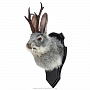 Чучело настенное "Серый кролик с рогами", фотография 3. Интернет-магазин ЛАВКА ПОДАРКОВ