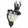 Чучело настенное "Черно-белый кролик с рогами", фотография 1. Интернет-магазин ЛАВКА ПОДАРКОВ