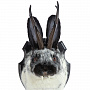 Чучело настенное "Черно-белый кролик с рогами", фотография 4. Интернет-магазин ЛАВКА ПОДАРКОВ