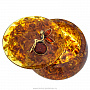 Круглая шкатулка из янтаря "Фея на шаре", фотография 3. Интернет-магазин ЛАВКА ПОДАРКОВ