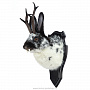 Чучело настенное "Черно-белый кролик с рогами", фотография 3. Интернет-магазин ЛАВКА ПОДАРКОВ