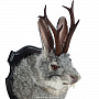 Чучело настенное "Серый кролик с рогами", фотография 4. Интернет-магазин ЛАВКА ПОДАРКОВ