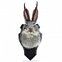 Чучело настенное "Серый кролик с рогами", фотография 2. Интернет-магазин ЛАВКА ПОДАРКОВ