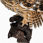 Настенное чучело птицы "Сова ушастая", фотография 3. Интернет-магазин ЛАВКА ПОДАРКОВ