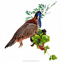 Настенное чучело птицы "Фазан ушастый", фотография 1. Интернет-магазин ЛАВКА ПОДАРКОВ