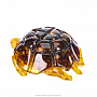Шкатулка из янтаря "Черепаха", фотография 4. Интернет-магазин ЛАВКА ПОДАРКОВ