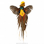Настенное чучело птицы "Фазан золотой", фотография 1. Интернет-магазин ЛАВКА ПОДАРКОВ