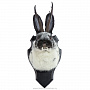 Чучело настенное "Черно-белый кролик с рогами", фотография 2. Интернет-магазин ЛАВКА ПОДАРКОВ