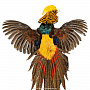 Настенное чучело птицы "Фазан золотой", фотография 3. Интернет-магазин ЛАВКА ПОДАРКОВ