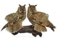 /Упр Таксидермия Чучело "Две Совы" настенное