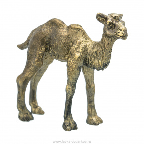 Бронзовая статуэтка "Верблюд", фотография 0. Интернет-магазин ЛАВКА ПОДАРКОВ
