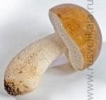 0022025 Хохлома Набор для вина "Новогоднее признание" 