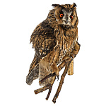  Таксидермия ЧУЧЕЛО "Сова ушастая"