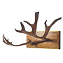 Таксидермия. Рога лося на медальоне, фотография 5. Интернет-магазин ЛАВКА ПОДАРКОВ