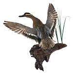  Чучело "Чирок Селезень." настенное