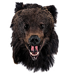 Чучело настенное "Голова медведя"