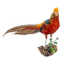 Чучело настольное "Фазан красный", фотография 1. Интернет-магазин ЛАВКА ПОДАРКОВ