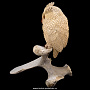 Скульптура из кости кита "Филин", фотография 5. Интернет-магазин ЛАВКА ПОДАРКОВ