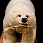 Скульптура "Медведь с рыбой" (кость кита, бивень мамонта), фотография 8. Интернет-магазин ЛАВКА ПОДАРКОВ