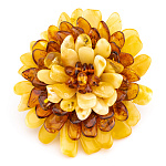 0059632-НП/6-7см  Изделия из янтаря БРОШЬ "ХРИЗАНТЕМА"