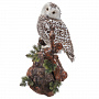 Чучело настенное "Полярная сова", фотография 3. Интернет-магазин ЛАВКА ПОДАРКОВ