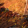 Картина янтарная "Лев идущий" 84х104 см, фотография 7. Интернет-магазин ЛАВКА ПОДАРКОВ