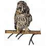 Настенное чучело птицы "Неясыть длиннохвостая", фотография 1. Интернет-магазин ЛАВКА ПОДАРКОВ