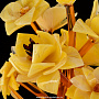 Сувенир "Цветы в вазе" (янтарь, оникс), фотография 3. Интернет-магазин ЛАВКА ПОДАРКОВ