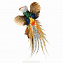Чучело птицы "Фазан алмазный" настенное, фотография 1. Интернет-магазин ЛАВКА ПОДАРКОВ