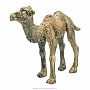 Бронзовая статуэтка "Верблюд", фотография 4. Интернет-магазин ЛАВКА ПОДАРКОВ
