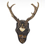 Таксидермия. Рога сибирской косули, фотография 1. Интернет-магазин ЛАВКА ПОДАРКОВ