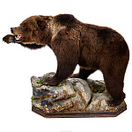 Чучело "Медведь на камне"