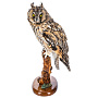 Чучело настольное "Сова ушастая", фотография 1. Интернет-магазин ЛАВКА ПОДАРКОВ