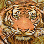 Картина янтарная "Тигр" 60х40 см, фотография 3. Интернет-магазин ЛАВКА ПОДАРКОВ