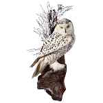  ЧУЧЕЛО ПТИЦЫ "СОВА ПОЛЯРНАЯ" с документами