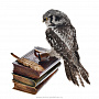 Чучело птицы  "Сова со стопкой книг", фотография 8. Интернет-магазин ЛАВКА ПОДАРКОВ