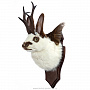Чучело настенное "Белый кролик с рогами", фотография 3. Интернет-магазин ЛАВКА ПОДАРКОВ