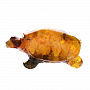 Статуэтка с янтарем "Черепашка", фотография 4. Интернет-магазин ЛАВКА ПОДАРКОВ