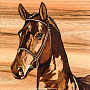 Деревянное настенное панно "Лошадь" 44 х 55 см, фотография 2. Интернет-магазин ЛАВКА ПОДАРКОВ