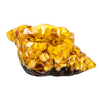 202878 Янтарь Сувенир Ракушка для мелочей ,  янтарь в полиэф смоле