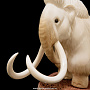 Скульптура из кости "Мамонт" (бивень мамонта, кость кита), фотография 7. Интернет-магазин ЛАВКА ПОДАРКОВ