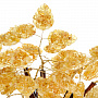 Денежное дерево из янтаря 342 листа, фотография 5. Интернет-магазин ЛАВКА ПОДАРКОВ