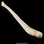 Чукотская булава из кости моржа, фотография 4. Интернет-магазин ЛАВКА ПОДАРКОВ