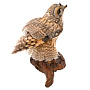 Таксидермия. Настенное чучело птицы "Сова", фотография 3. Интернет-магазин ЛАВКА ПОДАРКОВ