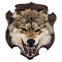 Чучело настенное "Голова волка", фотография 4. Интернет-магазин ЛАВКА ПОДАРКОВ