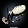 Сувенир из кости "Рыбка - исполнение желаний", фотография 1. Интернет-магазин ЛАВКА ПОДАРКОВ